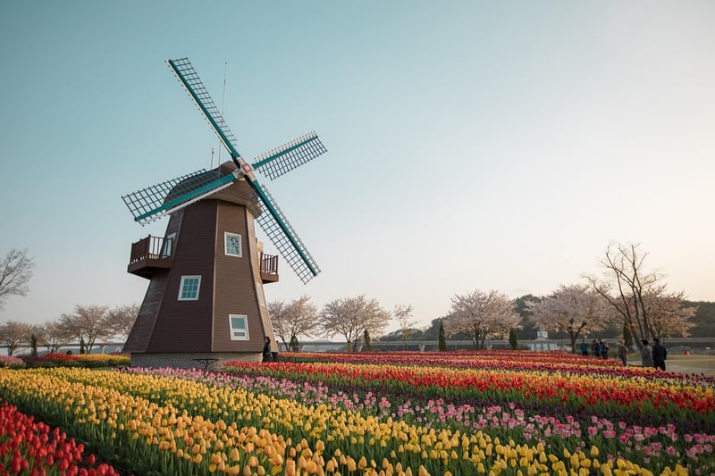 Netherlands Landscape